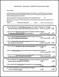 Figure 1: Evaluation Questionnaire