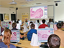 Figure 1. Histology practical session with virtual slides. Students follow demonstration of laryngeal structures projected on the screen in this classroom and observe the identical slide on the monitor of their client PC stations