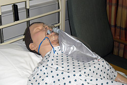 Figure 3: Sophisticated computer-controlled life-sized mannequins used within simulation educational methods