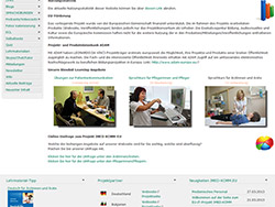 Figure 1. The homepage of the project website
