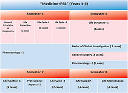 Figure 3. Preclinical and clinical stage (semester V–VIII) in the new MD Program