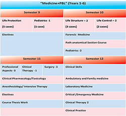 Figure 4. Clinical internships stage (semester IX–XII) in the new MD Program