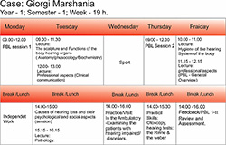 Figure 5.The PBL week of a patient (G.M.) with hearing impairment