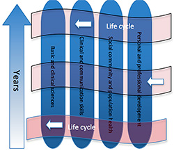 Figure 6. Vertical integration – a spiral curriculum