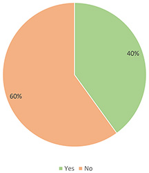 Figure 3. Did you know what Virtual Patients were before their development?