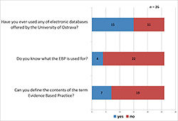 Figure 4. Illustration of outputs of the initial questionnaire