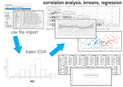 Figure 3. NeuroEDA Process map / Workflow